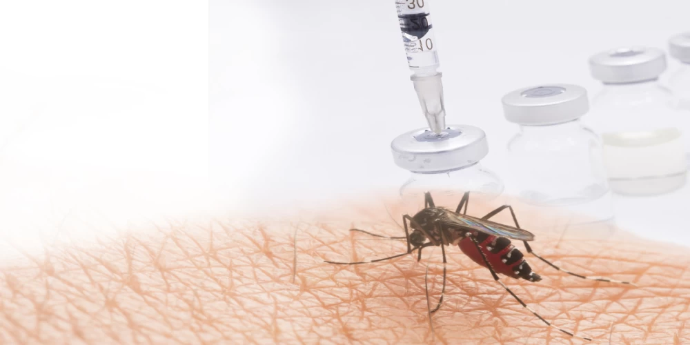 India’s first Dengue vaccine on the horizon: TAK-003 set for 2026 launch India’s first Dengue vaccine on the horizon: TAK-003 set for 2026 launch